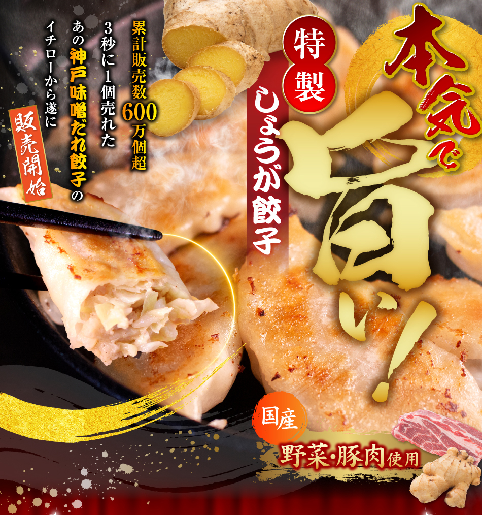 餃子専門店イチロー特製しょうが餃子12個セット（味噌だれ付）